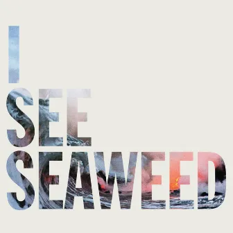 I See Seaweed by The Drones