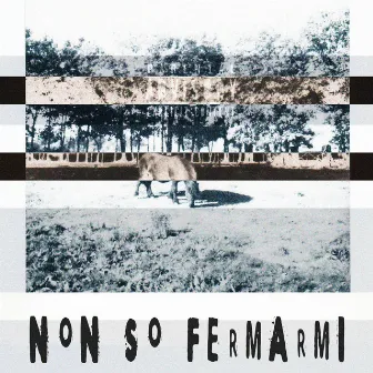 NON SO FERMARMI by PANPI