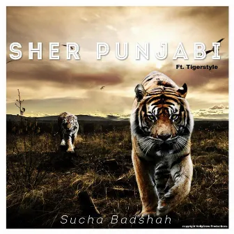 Sher Punjabi by Unknown Artist