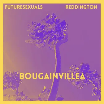 Bougainvillea by Futuresexuals