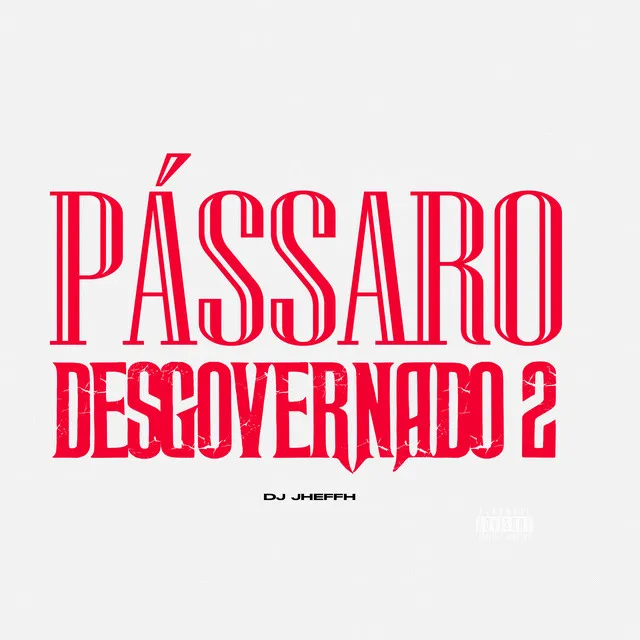 Pássaro Desgorvenado 2