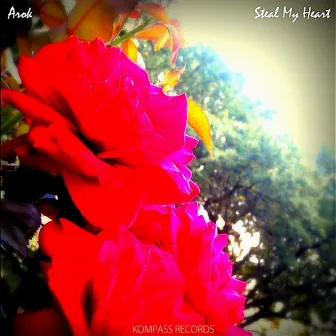 Steal My Heart by Arok Hill