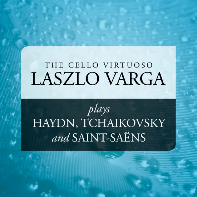 Concerto No. 1 in C Major for Cello and Orchestra, Hob. VIIb/1: II. Adagio