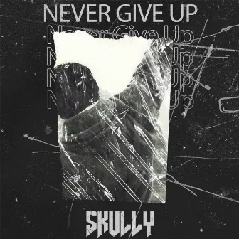 Never Give Up (Radio Edit) by Skully