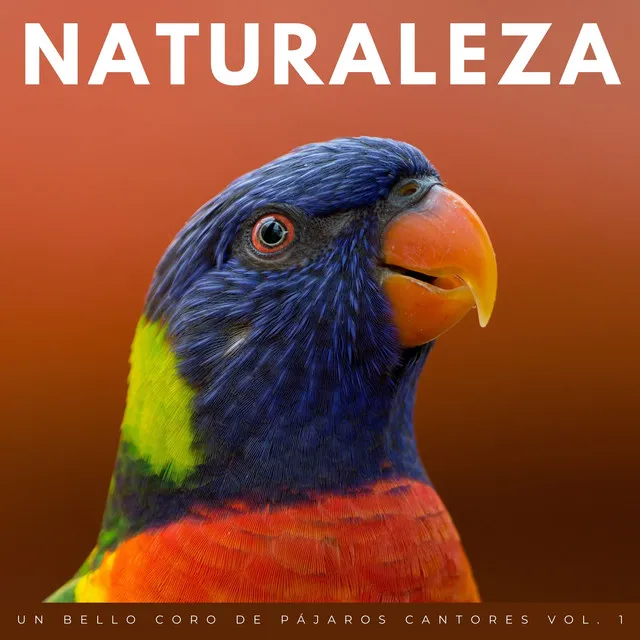 Naturaleza: Un Bello Coro De Pájaros Cantores Vol. 1