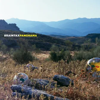 Panorama by Braintax