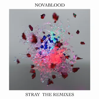 Stray (The Remixes) by Novablood