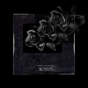 Black Roses by Ironic