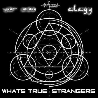 Whats True Strangers by Elegy