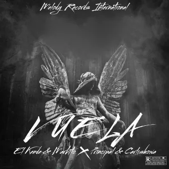 Vuela by Melody Records International