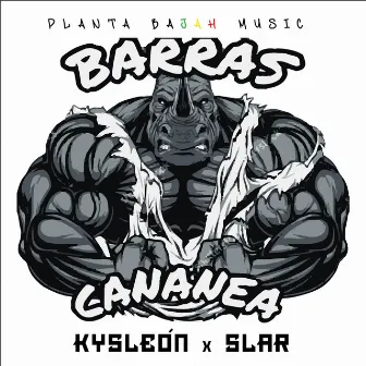 BARRAS CANANEA by Kysleón