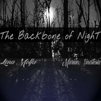 The Backbone of Night by Lena MolFa