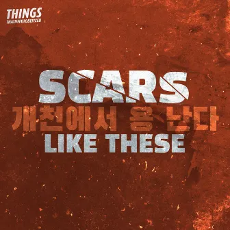 Scars Like These by Things That Need to Be Fixed