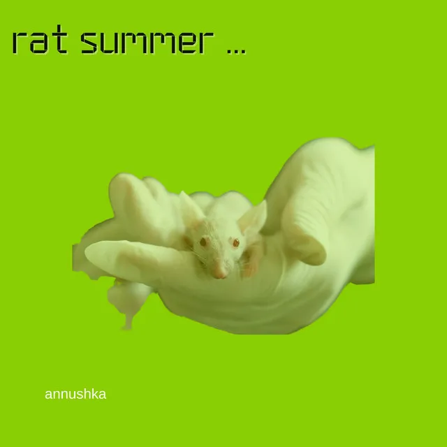 rat summer 1