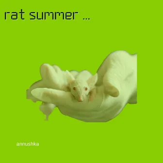 rat summer 1 by Annushka