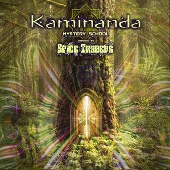 Mystery School (Remix) by Kaminanda