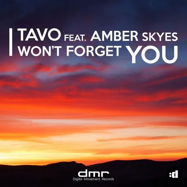 I Won't Forget You (feat. Amber Skyes) - Radio Edit