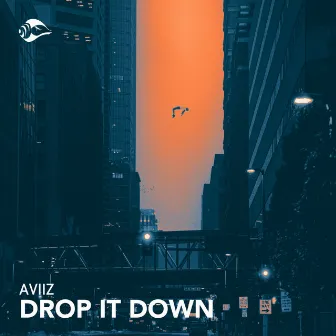 Drop It Down by AVIIZ