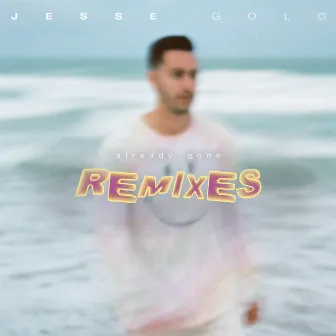 Already Gone Remixes by Jesse Gold