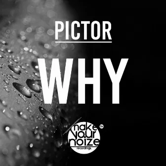 Why by Pictor