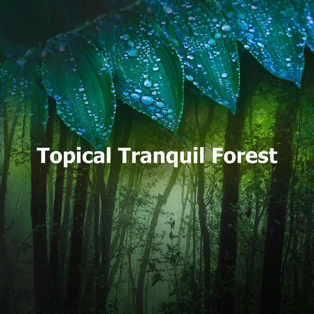 Topical Tranquil Forest