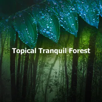 Topical Tranquil Forest by Tranquil Forest Effect