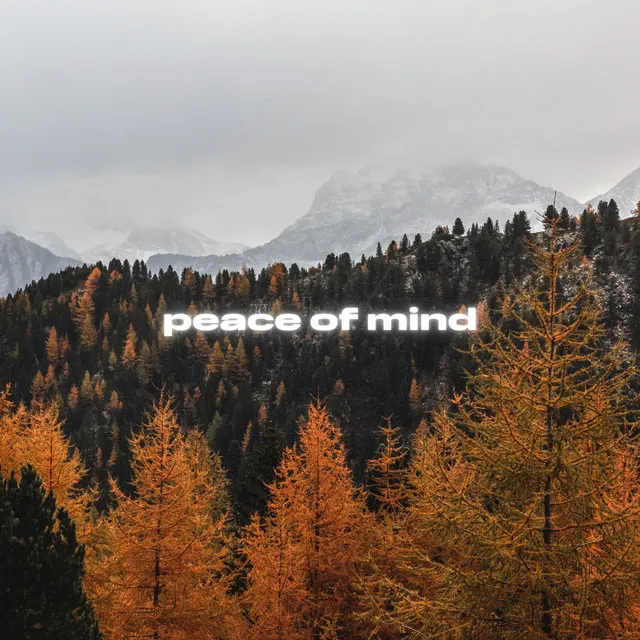 Peace of Mind