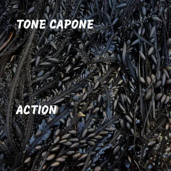 Action by Tone Capone