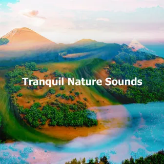 Tranquil Nature Sounds by Wildlife Sound Recordings