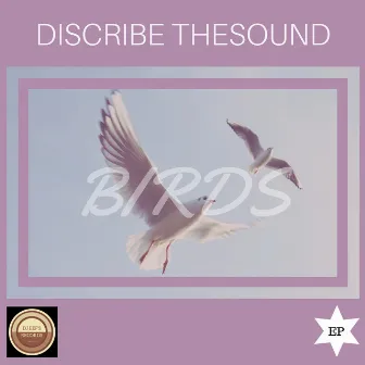 Birds by Discribe TheSound