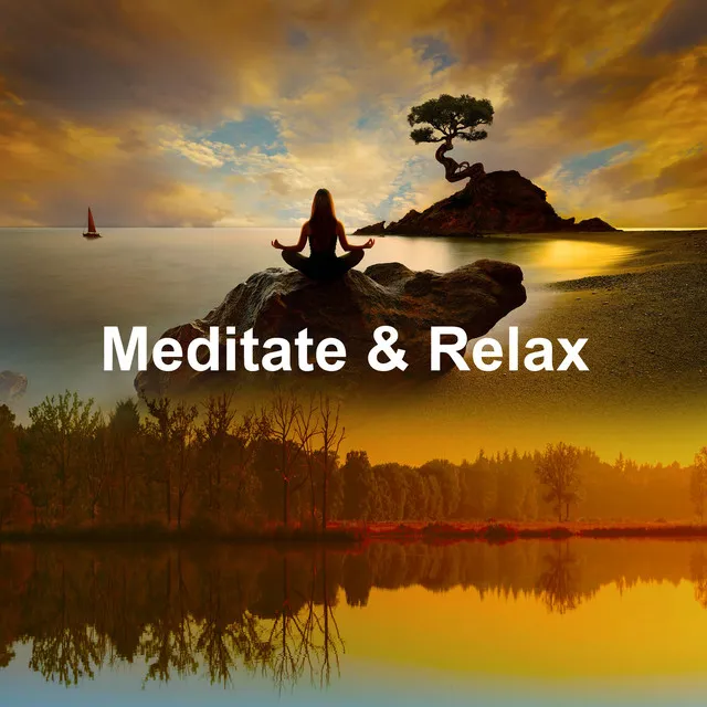 Meditate & Relax