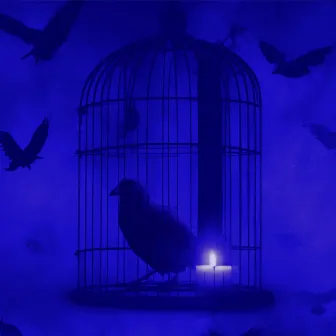 Bird in a Cage (The Carbonfools Remix) by Modesty's