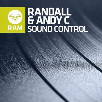 Sound Control (Edit) by Andy C