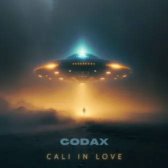 CALI IN LOVE by Codax