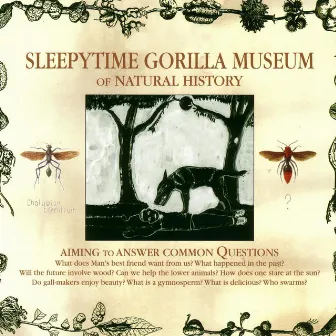 Of Natural History by Sleepytime Gorilla Museum