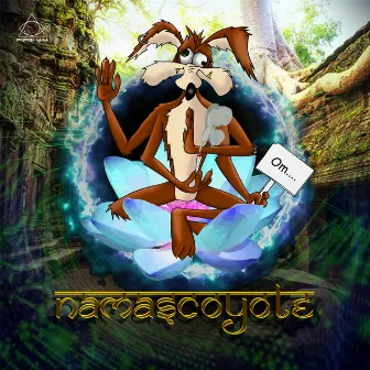 Namascoyote by Namascoyote