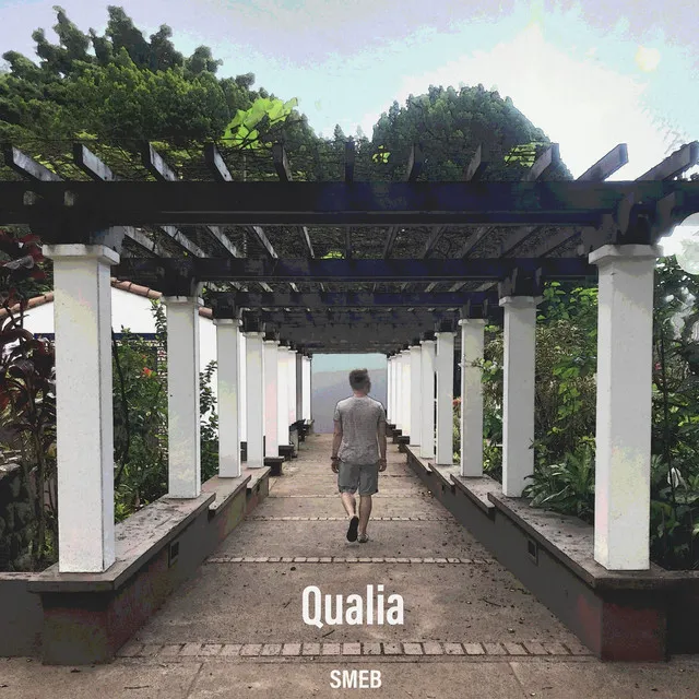 Qualia