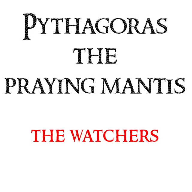 The Watchers