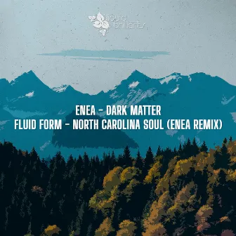 Dark Matter by Enea