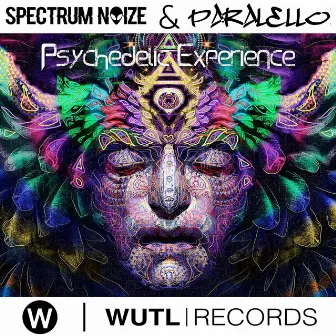 Psychedelic Experience by Paralello