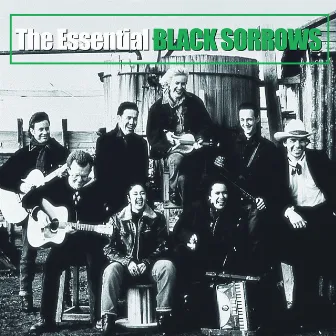 The Essential by The Black Sorrows