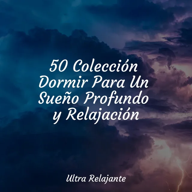 50 Colección Dormir Para Un Sueño Profundo y Relajación