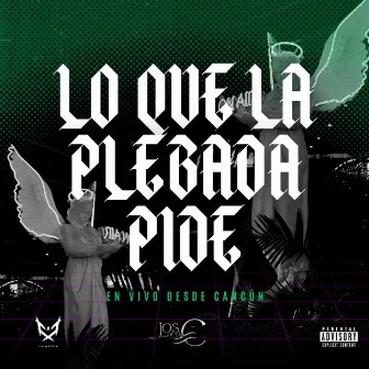 Lo que la plebada pide by Los De La C