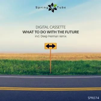 What to Do with the Future by Digital Cassette