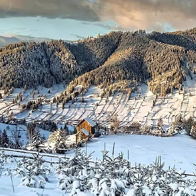 Bucovina-n Sărbători