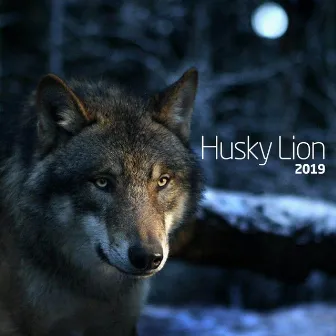 2019 by Husky Lion