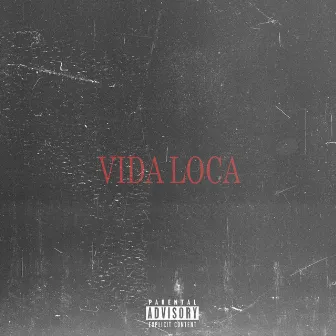 Vida Loca by M