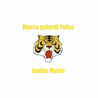 Junkie Music by Marco Galardi Pulse