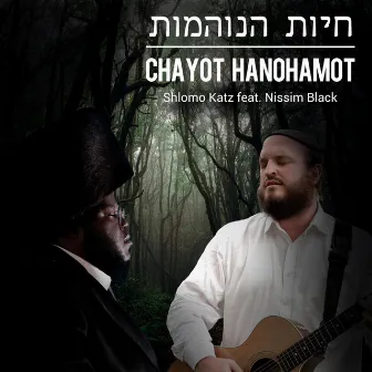 Chayot Hanohamot by Shlomo Katz