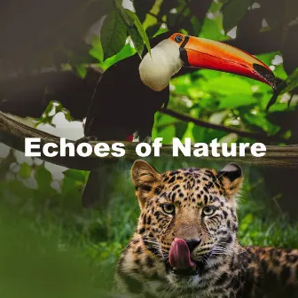 Echoes of Nature by Zen Music Garden & Spa